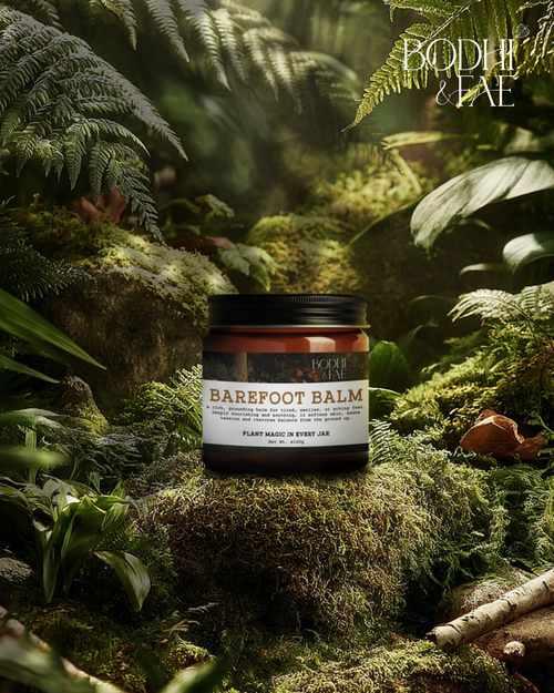 Jar of Barefoot Balm on a mossy rock with a forest background