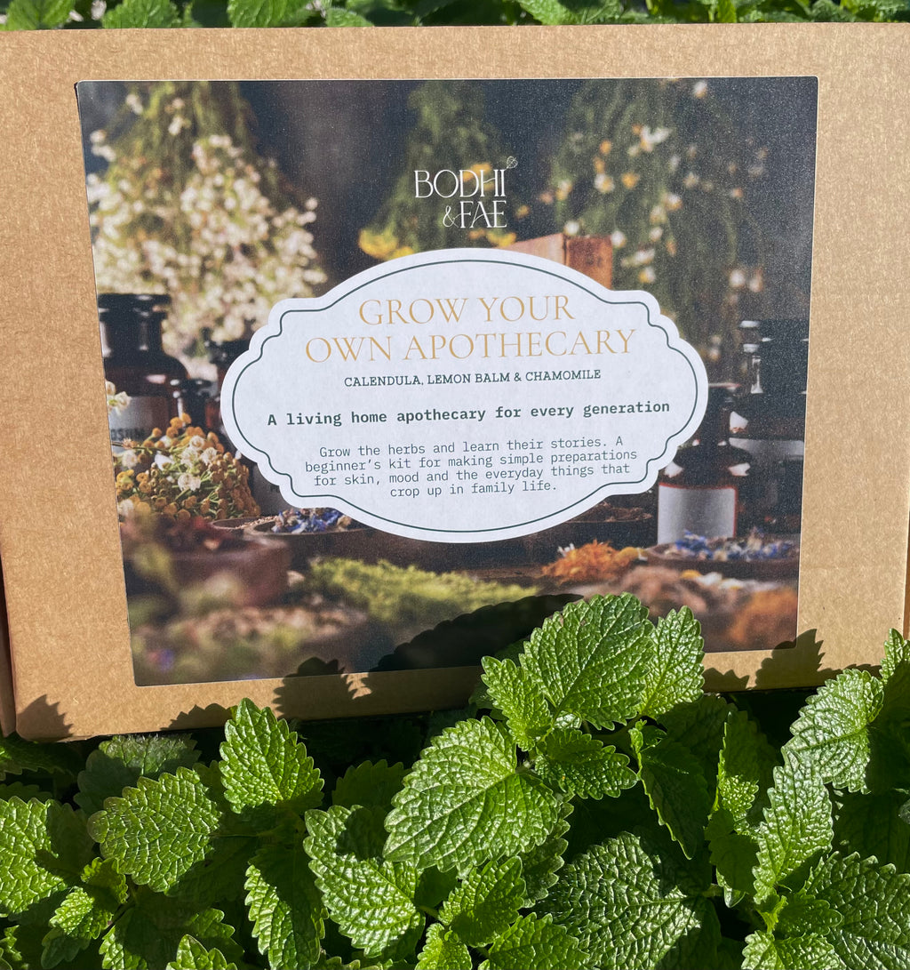 A square kraft paper box labeled 'BODHI & FAE' and 'GROW YOUR OWN APOTHECARY' sits outdoors among green leaves. The front label shows a garden scene and describes a home apothecary kit.